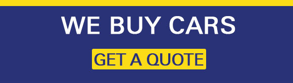 Banner show-bnr-2